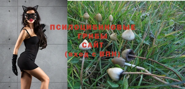 МДПВ Магас