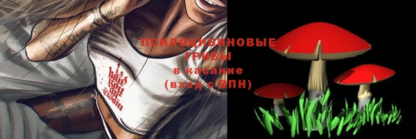МДПВ Магас