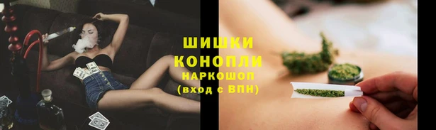 МДПВ Магас