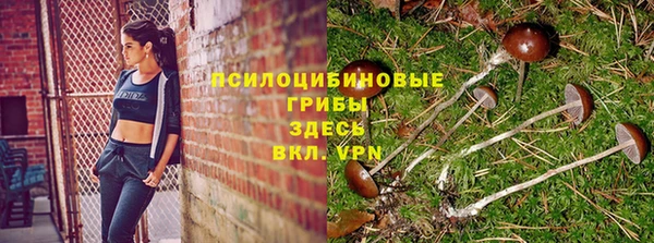 соль курить ск Магадан